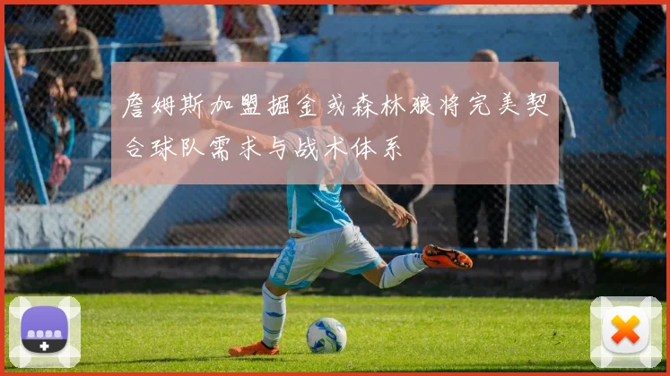 詹姆斯加盟掘金或森林狼将完美契合球队需求与战术体系