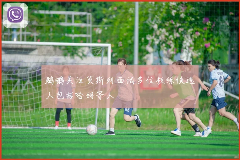 鹈鹕关注莫斯利面试多位教练候选人包括哈姆等人