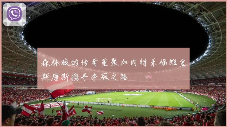 森林狼的传奇重聚加内特乐福维金斯唐斯携手夺冠之路